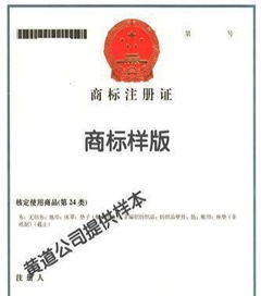 商标专利知识产权代理 企业创新与发展的守护者